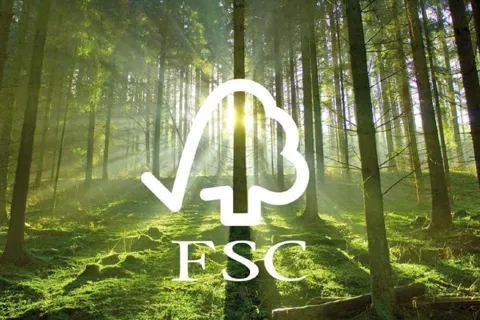 Nâng vị thế lâm sản Thái Nguyên trên thị trường quốc tế