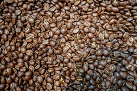 Lễ hội Di sản cà phê toàn cầu 2025: tôn vinh hạt cà phê Việt