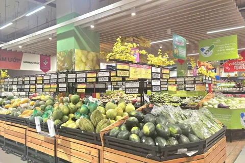 TP Hồ Chí Minh: bình ổn giá cả hàng hóa dịp Tết Bính Ngọ 2026