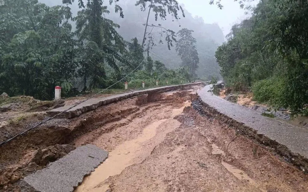 Hình ảnh 2