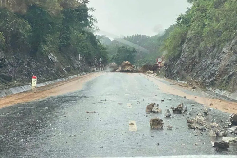 Hình ảnh 3