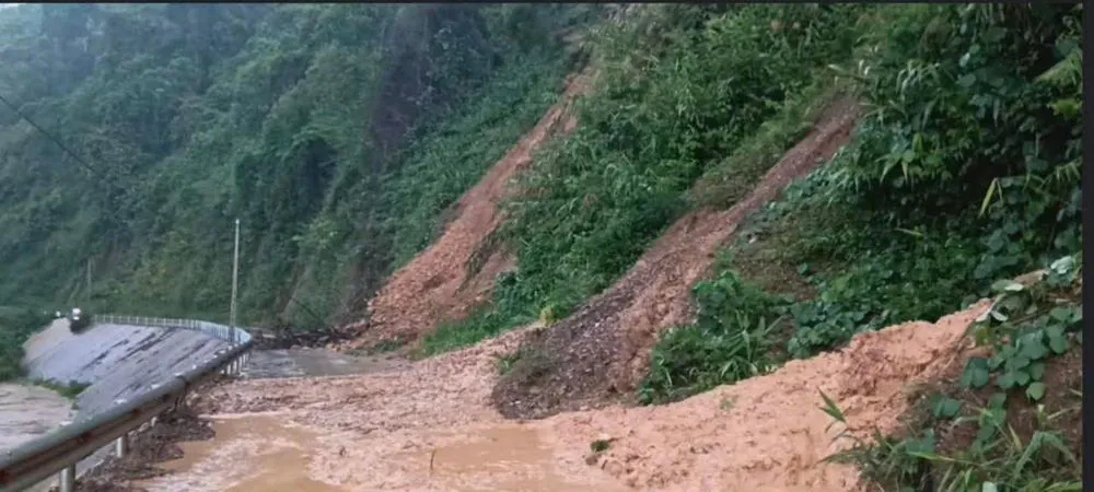 Hình ảnh 4