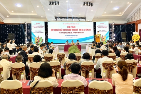 Gia Lai đẩy mạnh xuất khẩu nông sản vào thị trường Trung Quốc