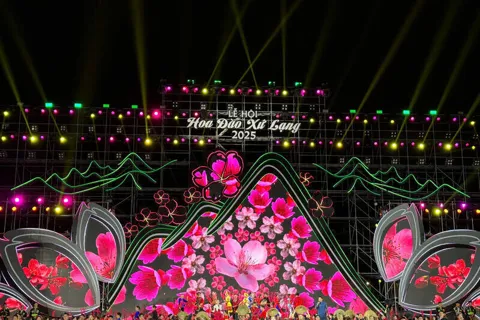 Lễ hội hoa đào xứ Lạng 2026: bảo tồn giá trị cây đào và quảng bá vùng biên cương giàu bản sắc