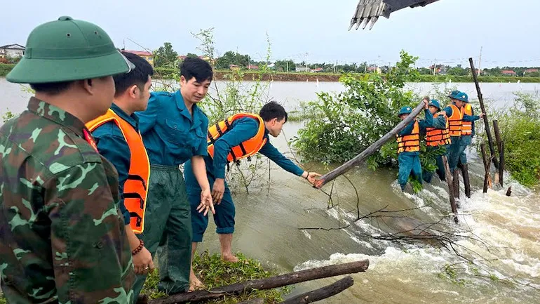 Hình ảnh 2