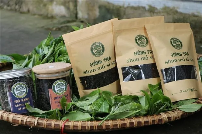 Lai Châu tôn vinh nông sản qua các hoạt động xúc tiến thương mại