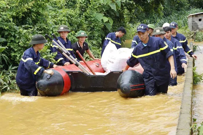 Hình ảnh 3