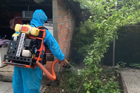Huế tăng cường kiểm tra các cơ sở giết mổ, phòng bệnh liên cầu lợn