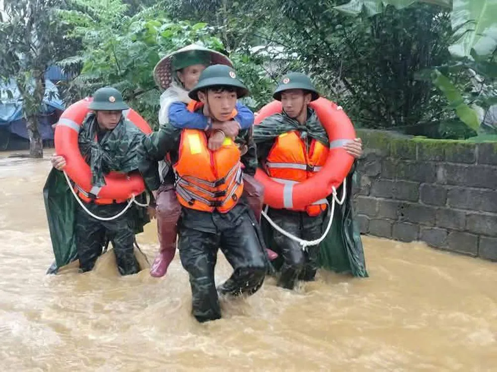 Hình ảnh 2