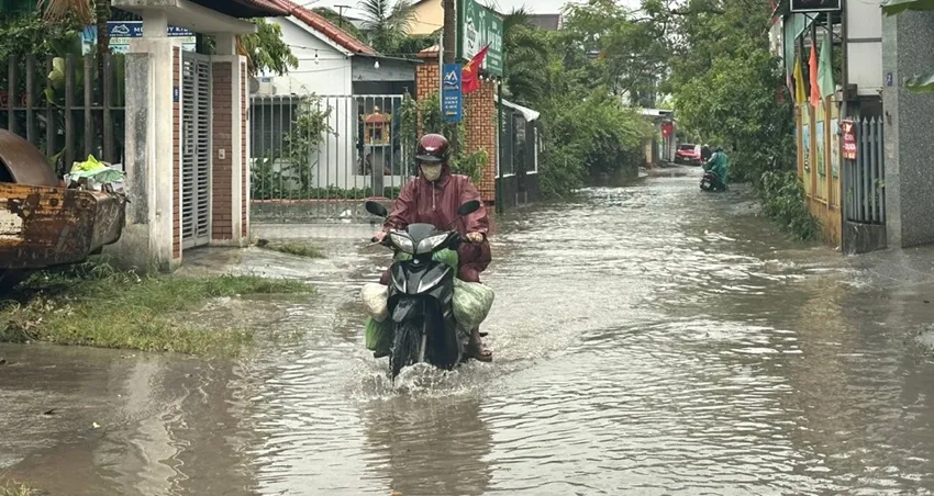 Hình ảnh 2