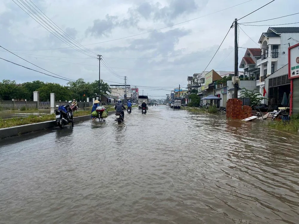 Hình ảnh 3