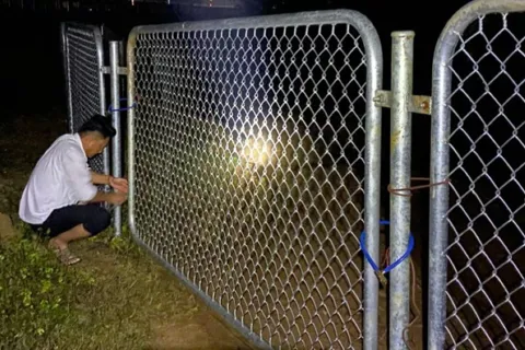 Quảng Trị: hàng rào trên cao tốc Vạn Ninh - Cam Lộ đã được khắc phục