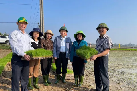 Quảng Trị: khẳng định vai trò của khuyến nông trong phát triển nông nghiệp xanh