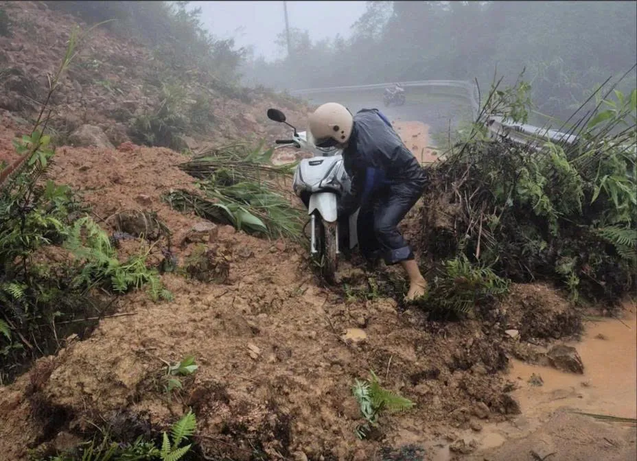 Hình ảnh 1