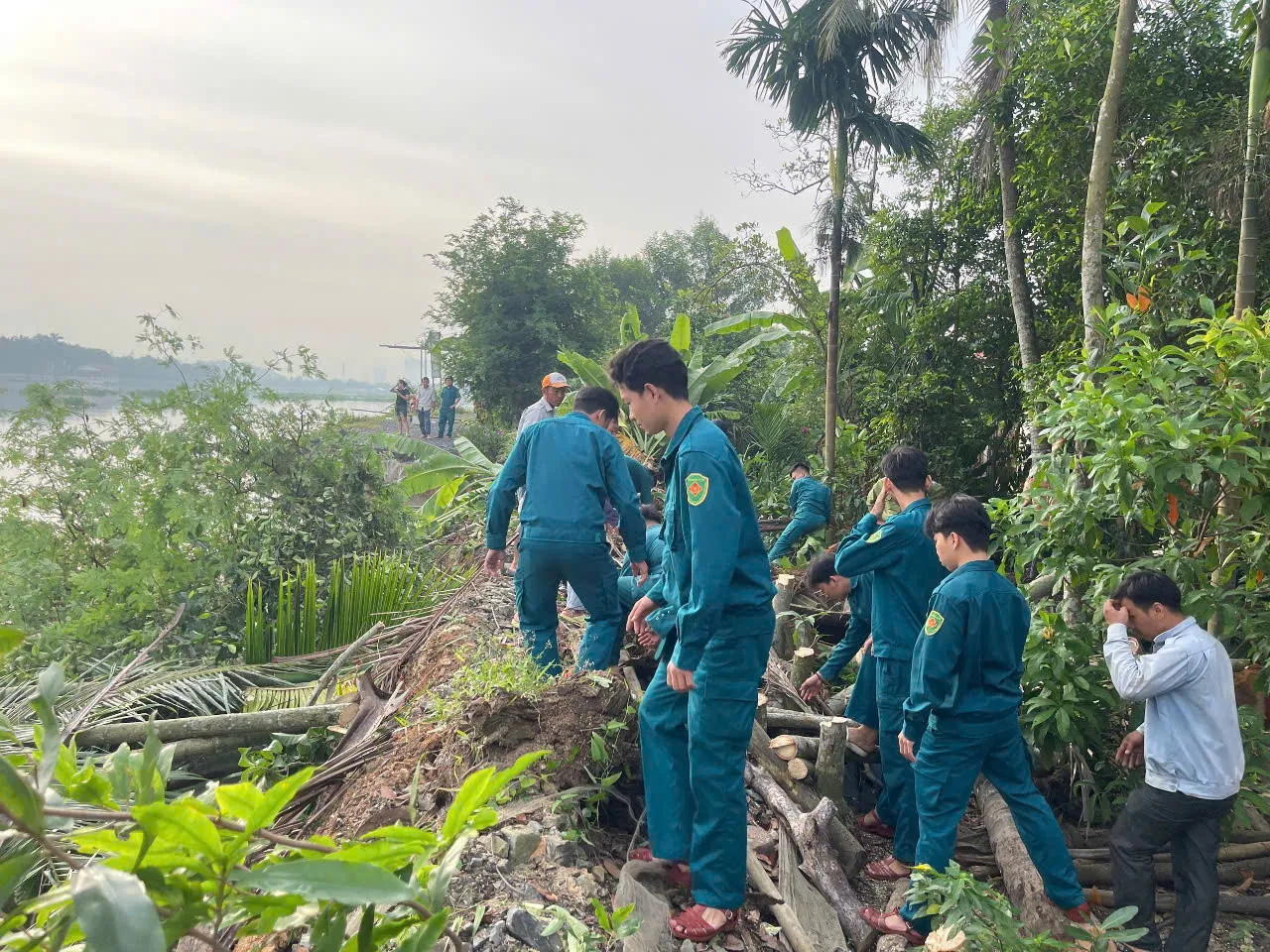 Hình ảnh 2