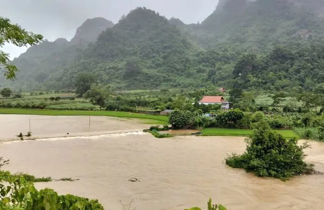 Hình ảnh 2