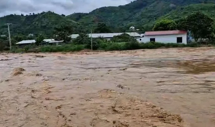 Hình ảnh 1