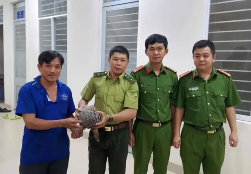 Hình ảnh 1