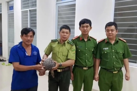 Tây Ninh: người dân giao nộp con tê tê gần 4kg cho Công an
