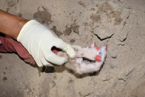 TP Hồ Chí Minh: phát hiện thi thể nữ trên sông Sài Gòn, bàn tay có 6 ngón sơn đỏ