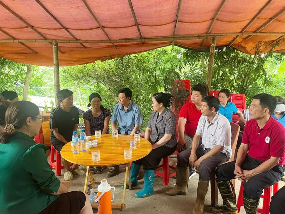 Hình ảnh 1