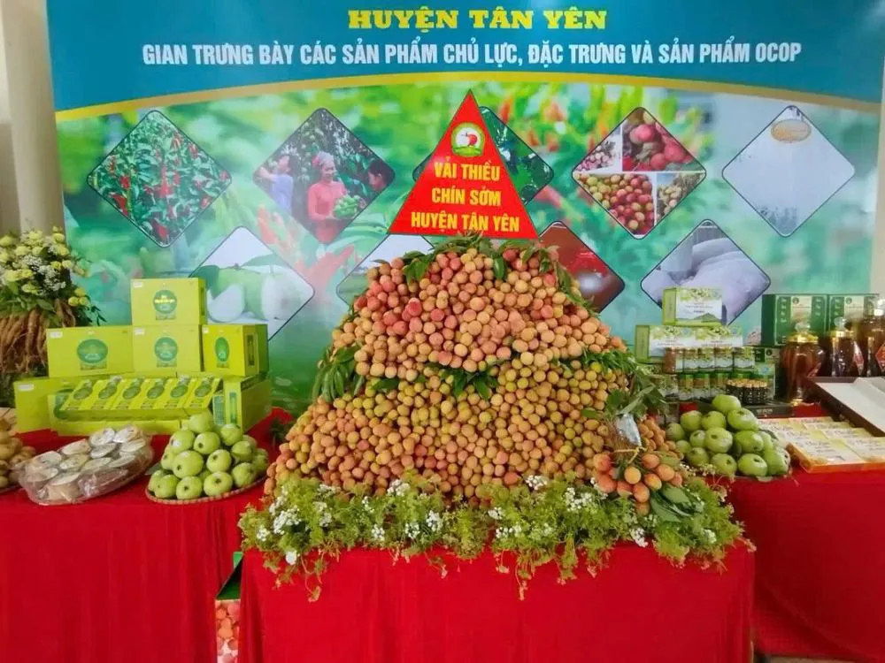 Hình ảnh 1