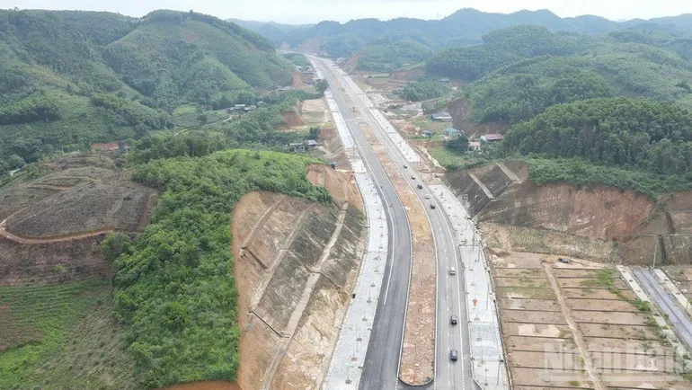 Hình ảnh 2