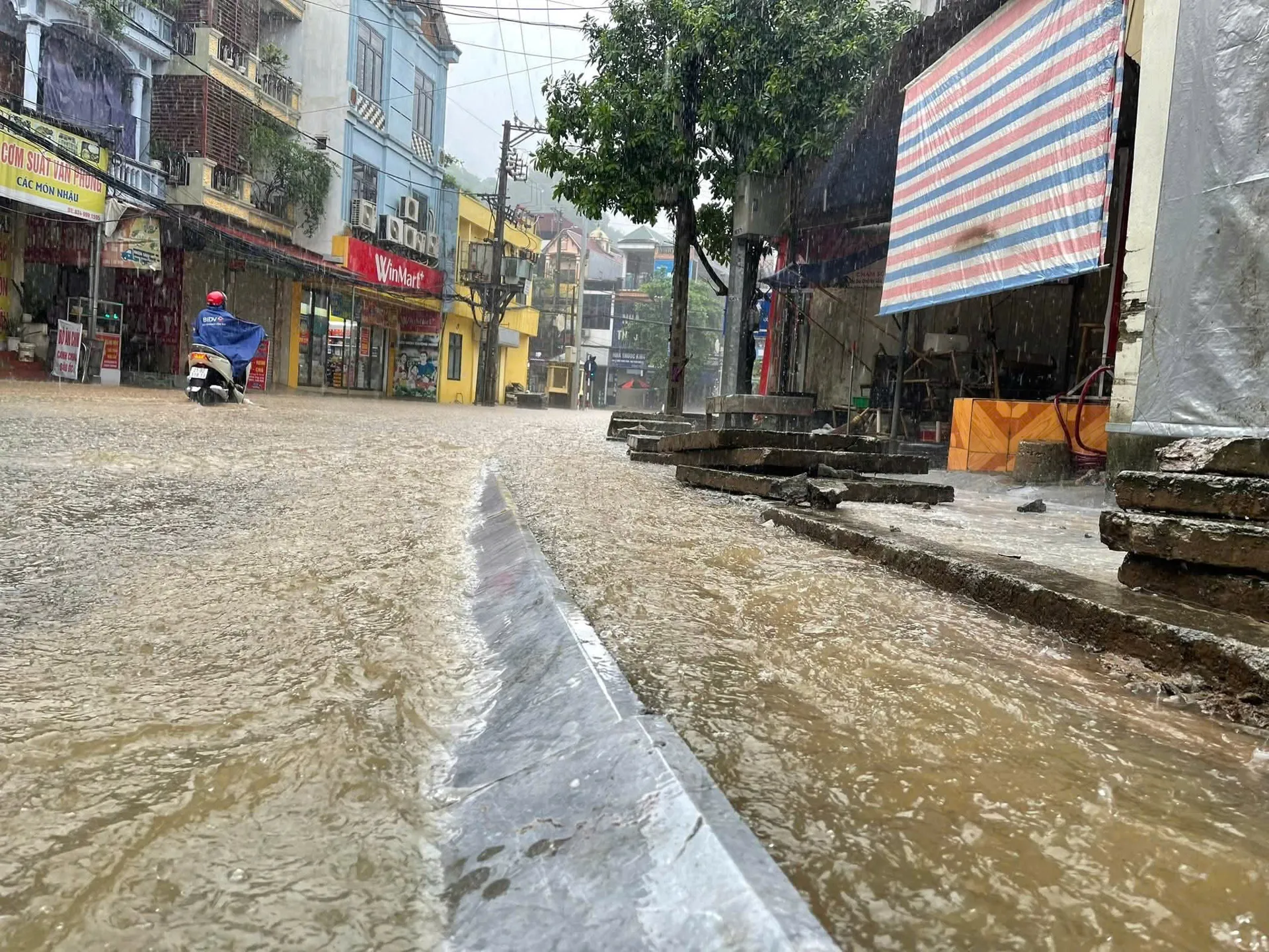 Hình ảnh 3