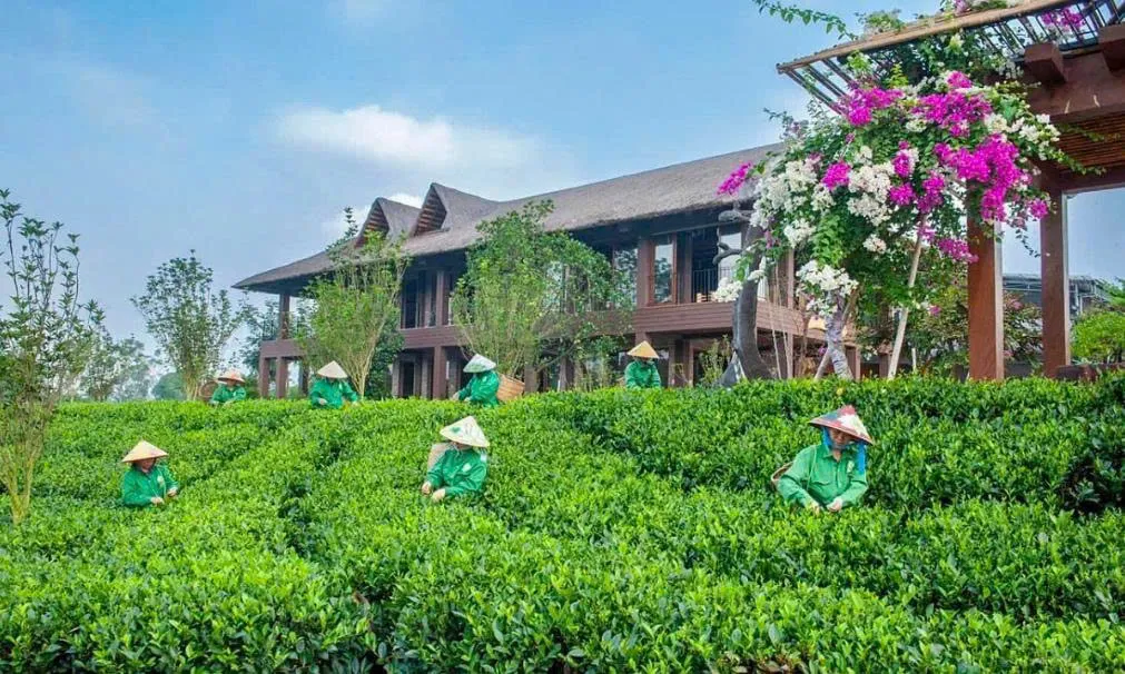Hình ảnh 1