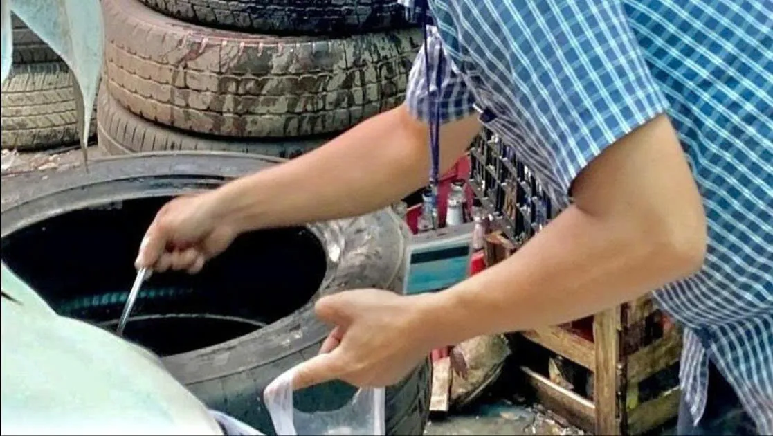 Hình ảnh 1