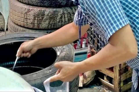 TP Hồ Chí Minh: nâng cao mức cảnh giác dịch sốt xuất huyết