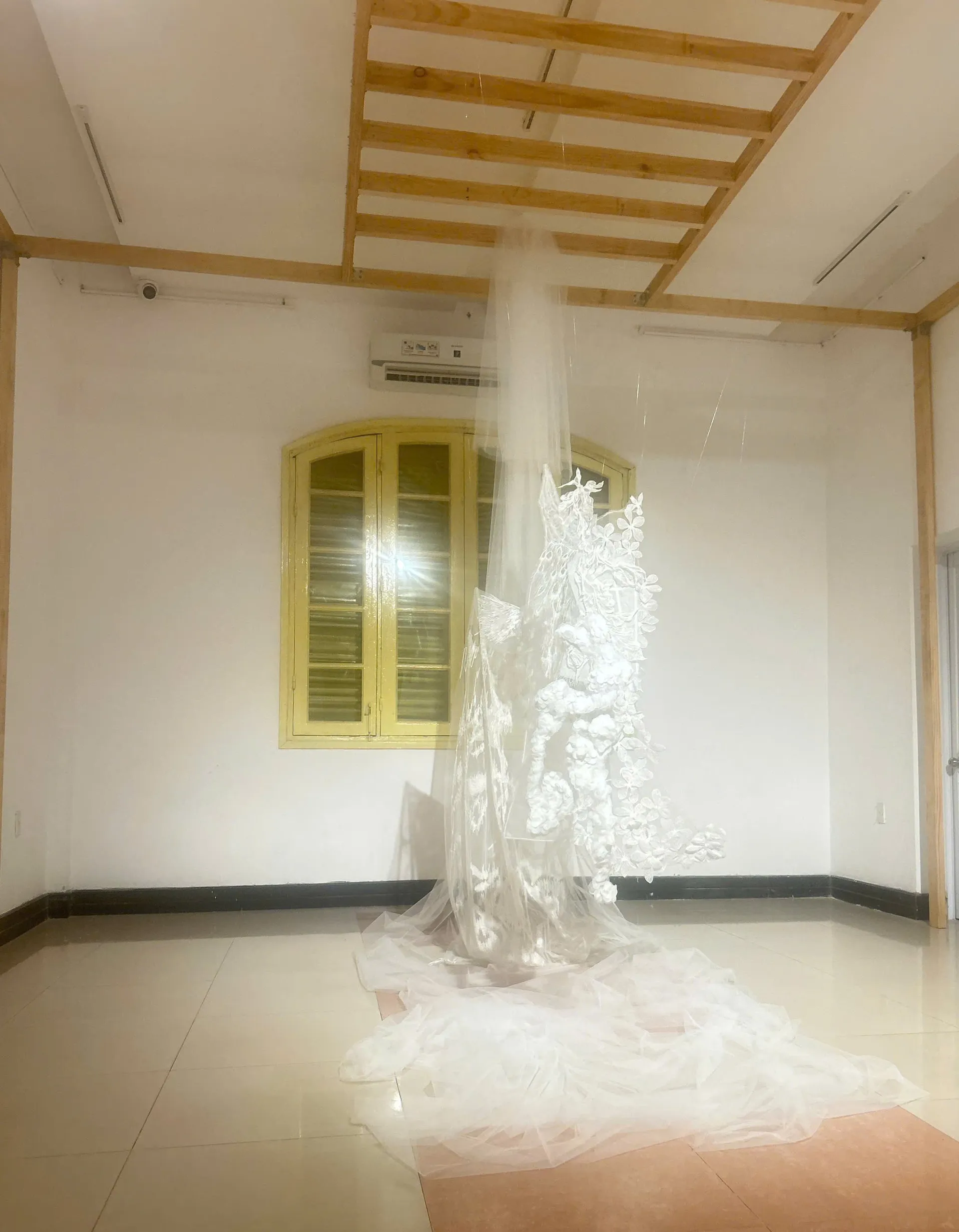 Hình ảnh 3