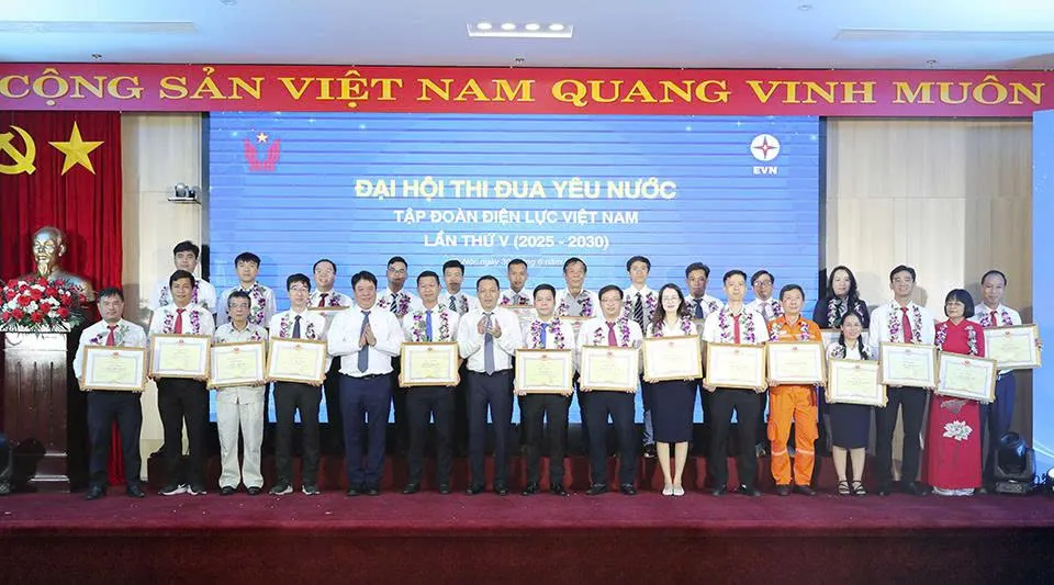 Hình ảnh 3