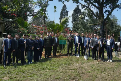 Chung tay trồng cây thực hiện chiến lược tăng trưởng xanh và phát triển bền vững