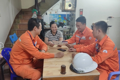 Hoàn thiện Luật, tiết kiệm năng lượng hiệu quả, thúc đẩy tăng trưởng xanh