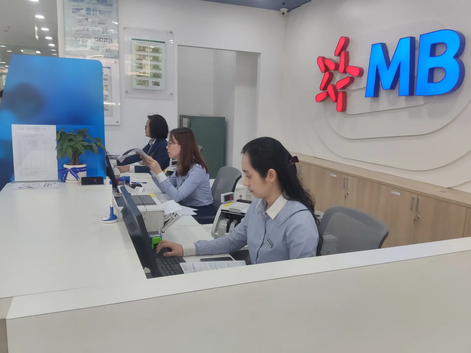 HANSIBA kết nối và bàn giải pháp phát triển sản xuất kinh doanh, tiệm cận nguồn vốn