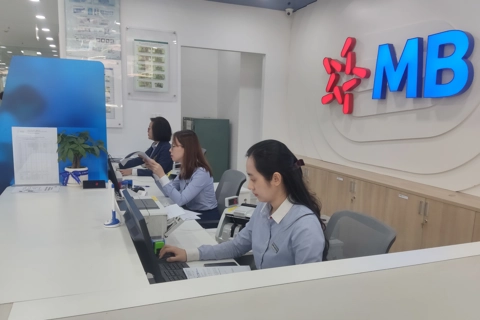 HANSIBA kết nối và bàn giải pháp phát triển sản xuất kinh doanh, tiệm cận nguồn vốn