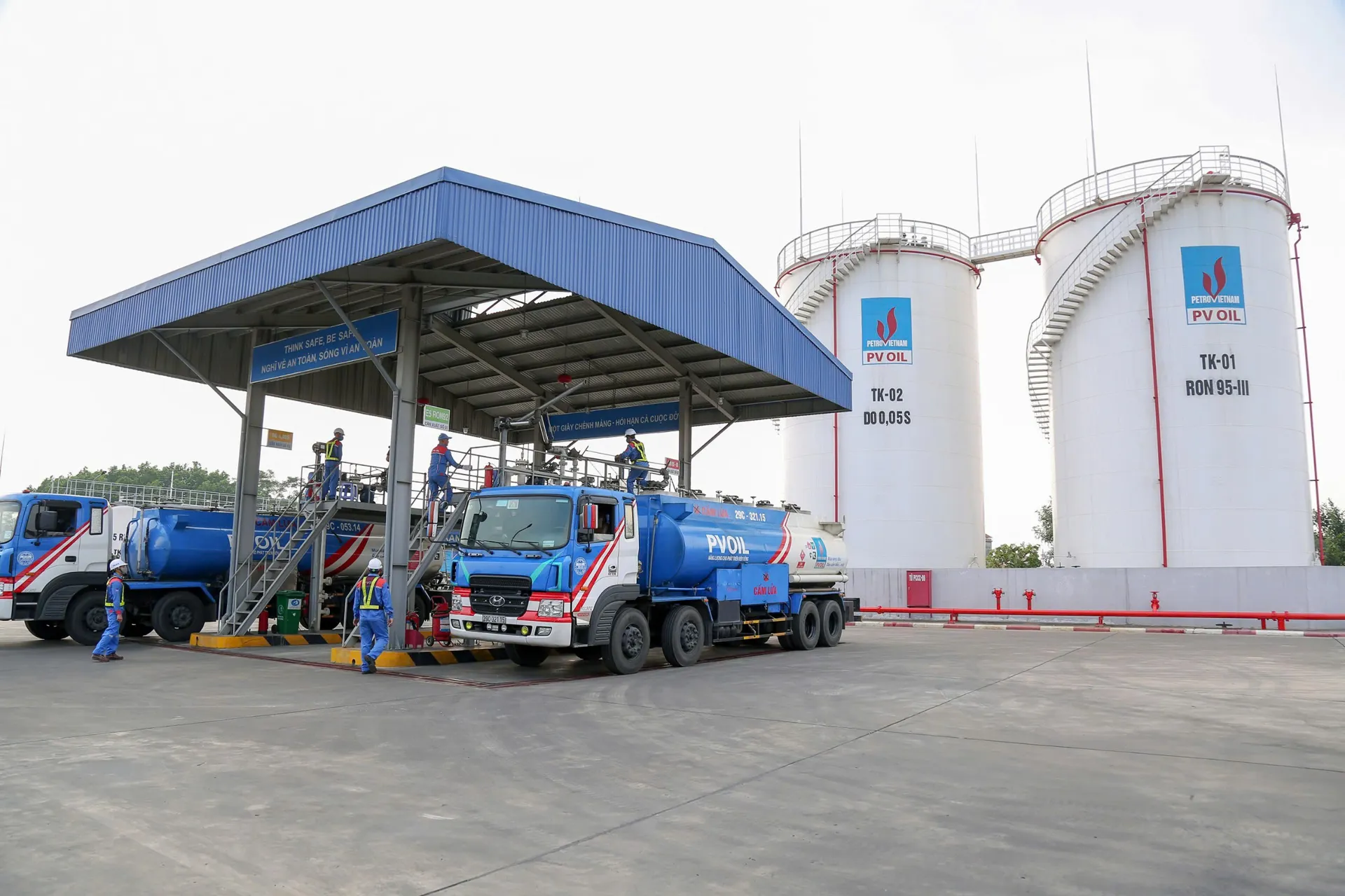 Hình ảnh 2