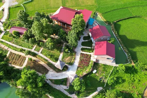 7 trải nghiệm Tết độc đáo cho du khách trên khắp Việt Nam