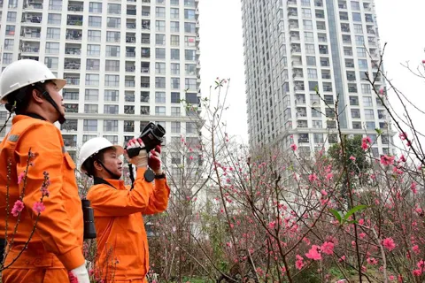 EVN đảm bảo cung ứng ổn định dịp Tết, sẵn sàng cho mùa cao điểm