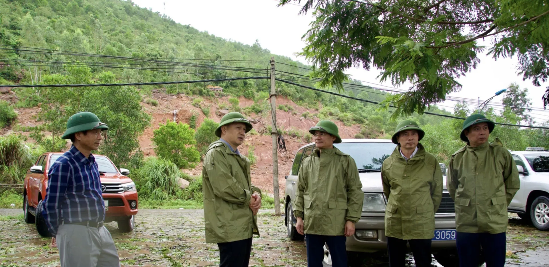Hình ảnh 2