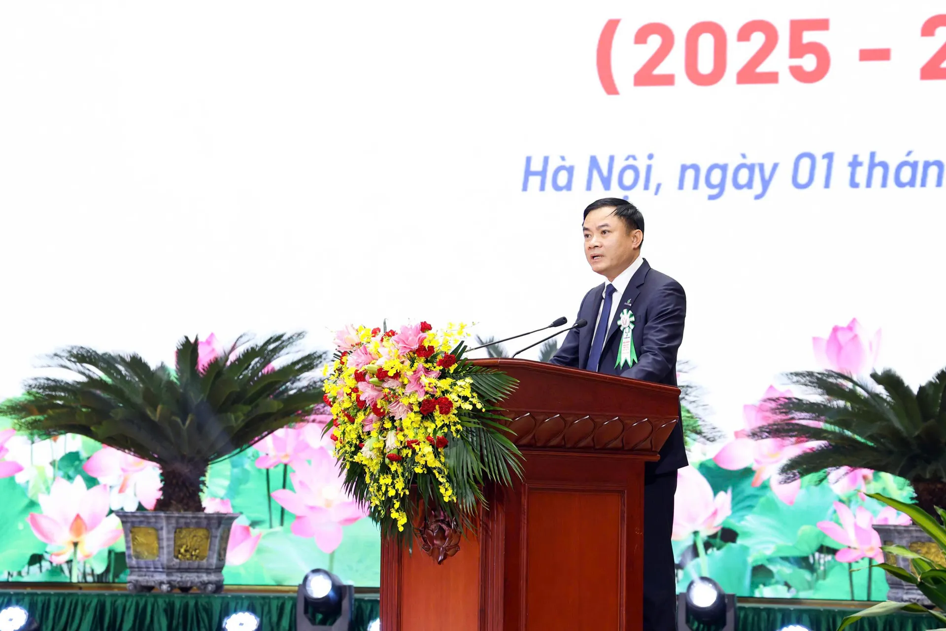 Hình ảnh 2