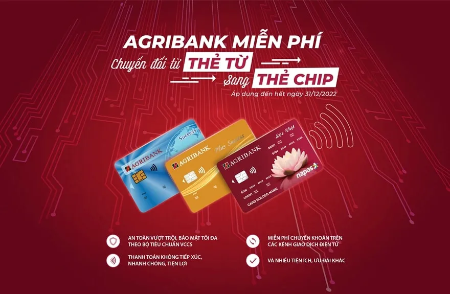 Hình ảnh 3
