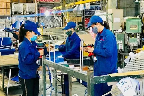 Hà Nội tích cực khơi dậy động lực cho kinh tế tư nhân bứt phá
