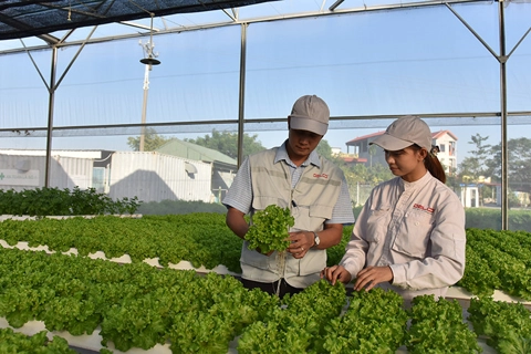 Báo chí lực lượng góp phần thúc đẩy phát triển kinh tế xanh