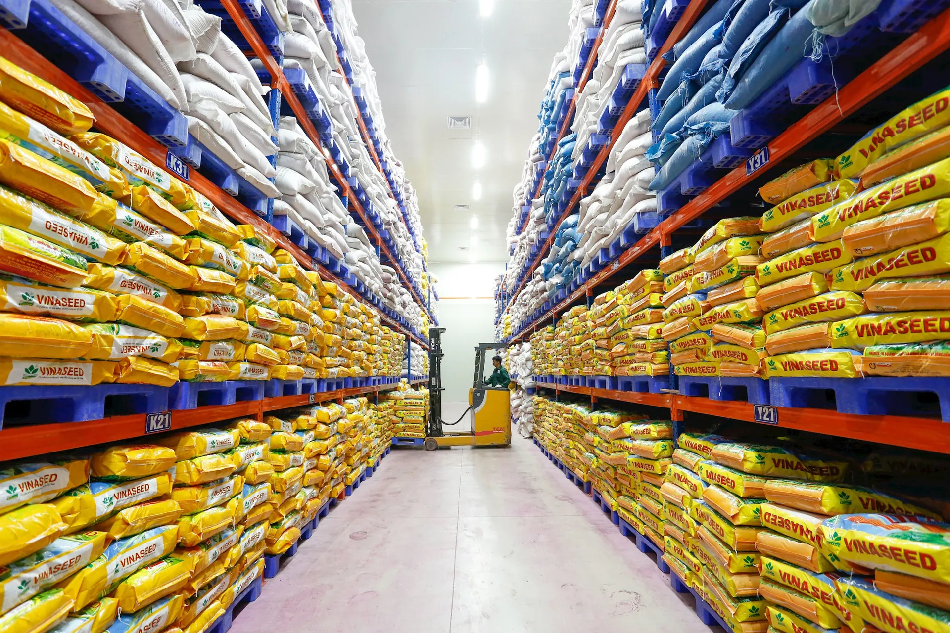 GDP quý III tăng gần 10%, kỳ vọng ba động lực tăng trưởng trong quý IV