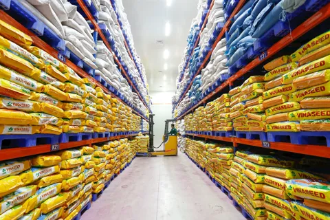 GDP quý III tăng gần 10%, kỳ vọng ba động lực tăng trưởng trong quý IV