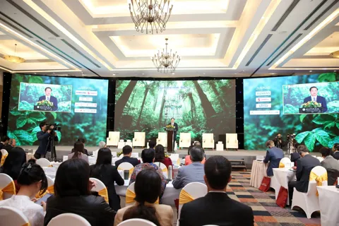 Thúc đẩy phát triển thị trường tài chính xanh và công cụ tài chính bền vững