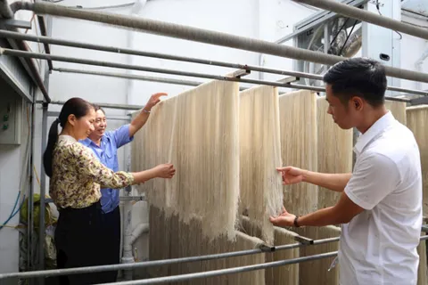 Làng nghề miến dong tăng tốc vào vụ cuối năm