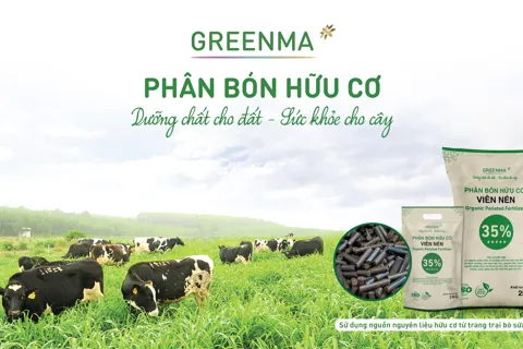 “Nhà cung ứng xuất sắc Việt Nam 2025” gọi tên Greenma